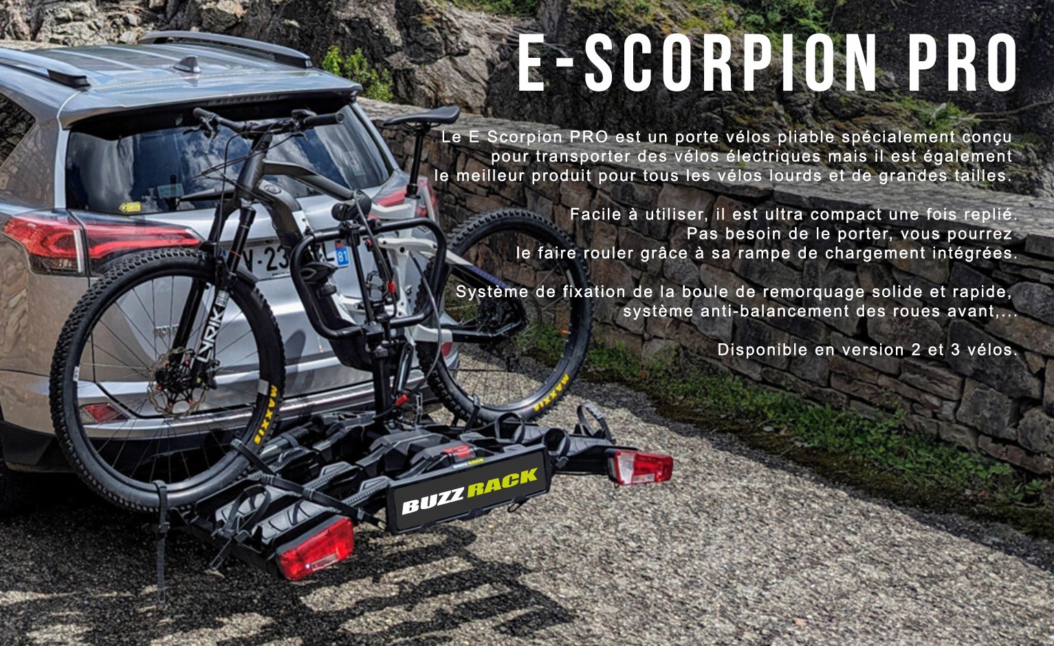 E-Scorpion Pro 2
