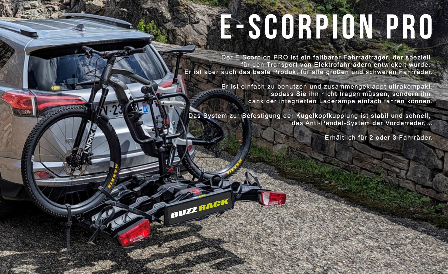 E-Scorpion Pro 2